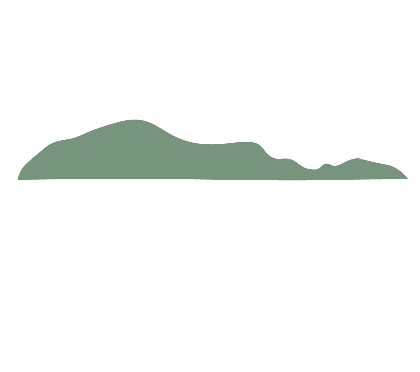 Paul Murphy Films logo